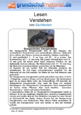 Dsungarischer Zwerghamster - Sachtext.pdf